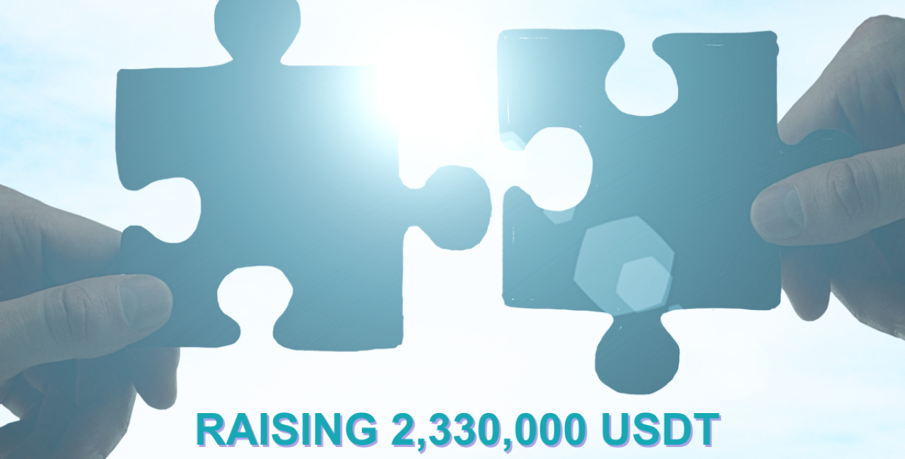 🚀 Achieving Milestones Together: FireFlies Crowdsale Success! 🔥